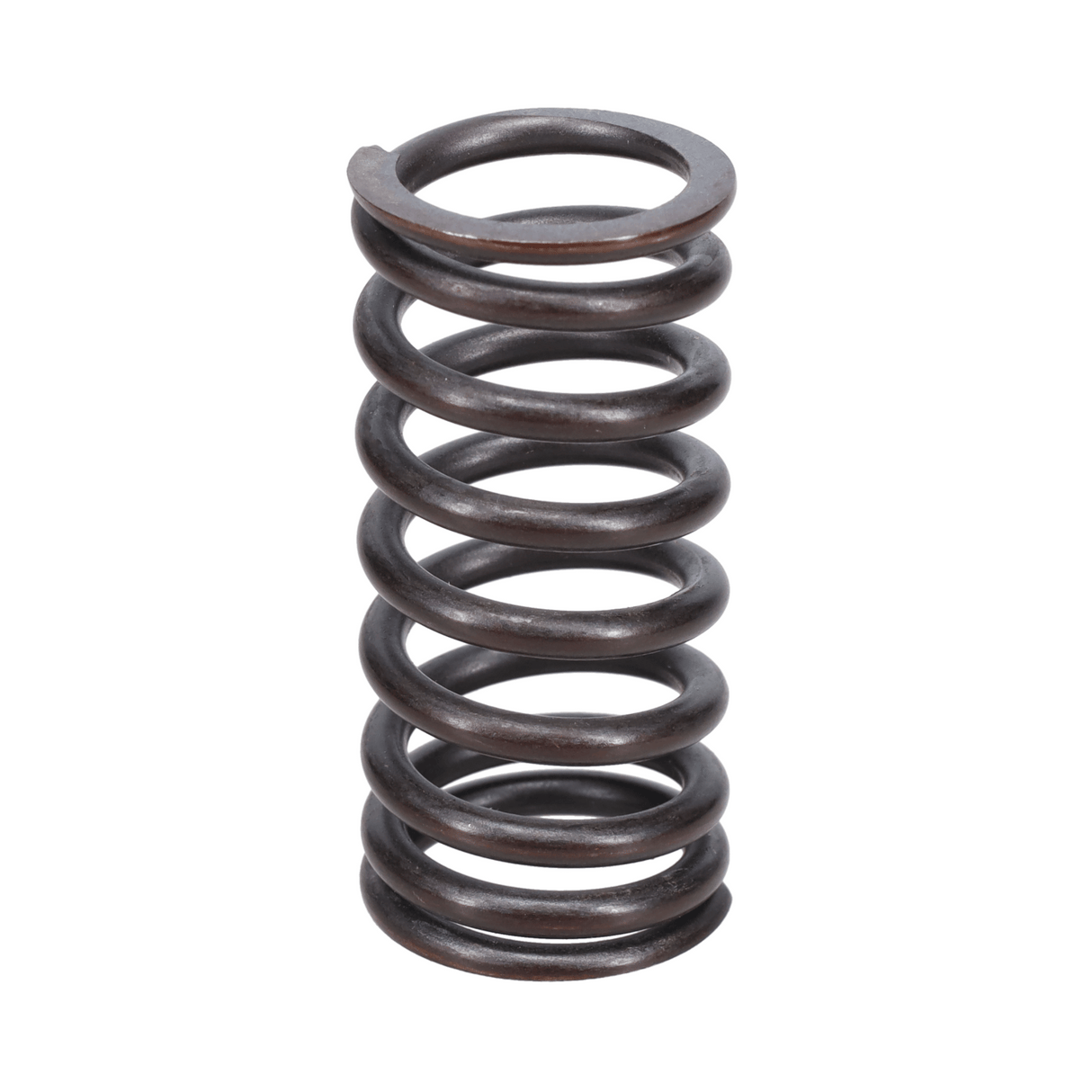 Valve Spring