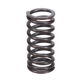 Valve Spring