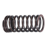 Valve Spring