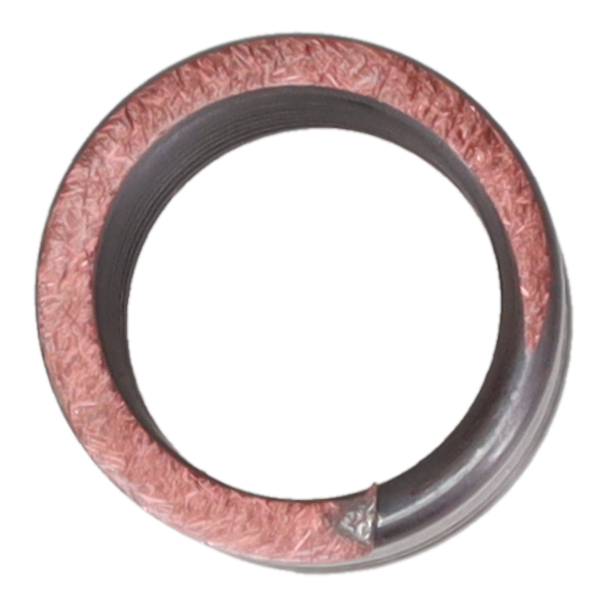 Valve Spring