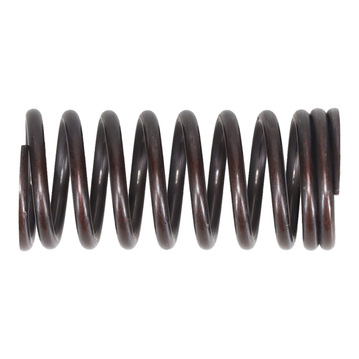 Valve Spring