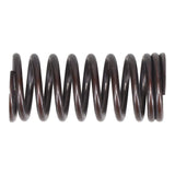 Valve Spring