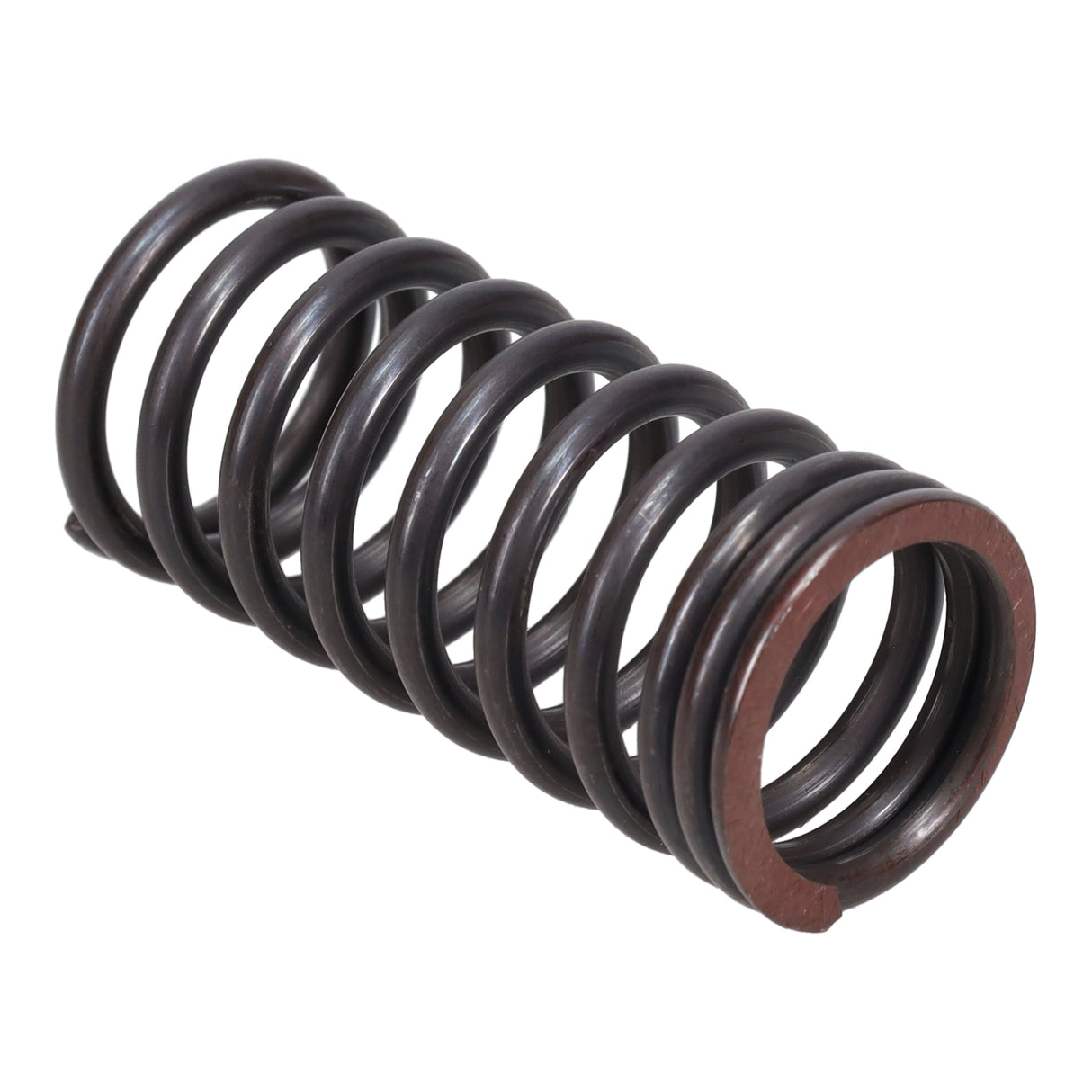 Valve Spring