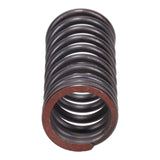 Valve Spring
