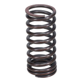 Valve Spring