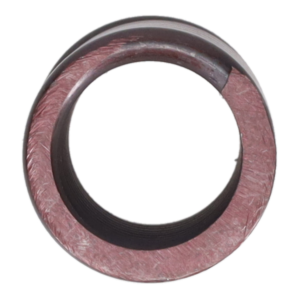 Valve Spring