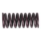 Valve Spring