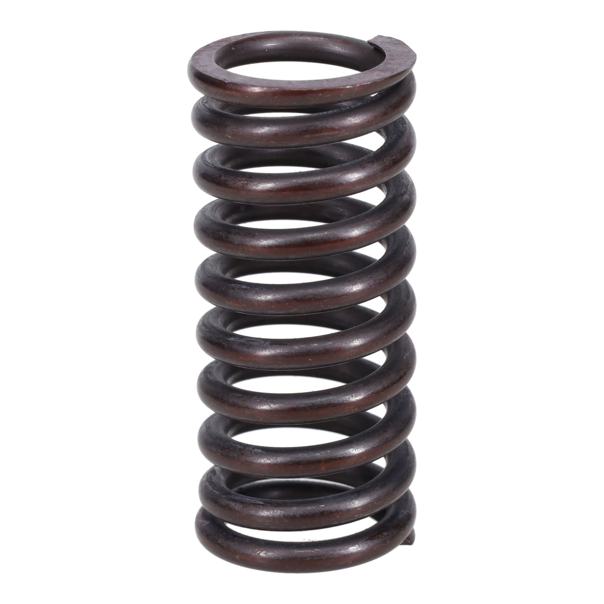 Valve Spring