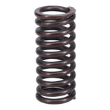 Valve Spring