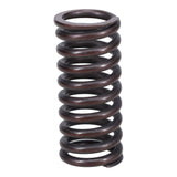 Valve Spring