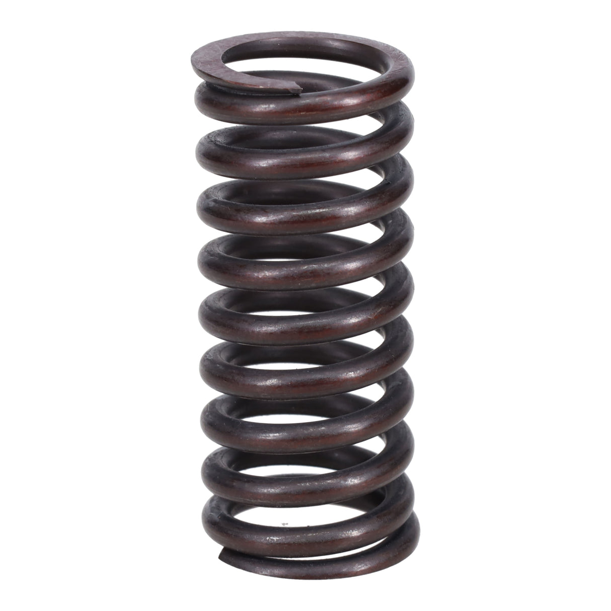 Valve Spring