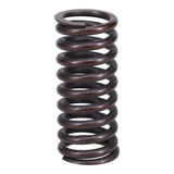 Valve Spring