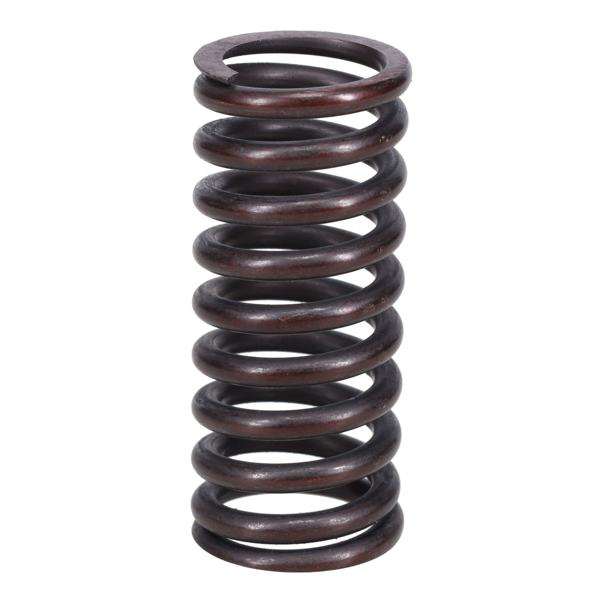 Valve Spring