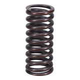 Valve Spring