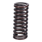 Valve Spring