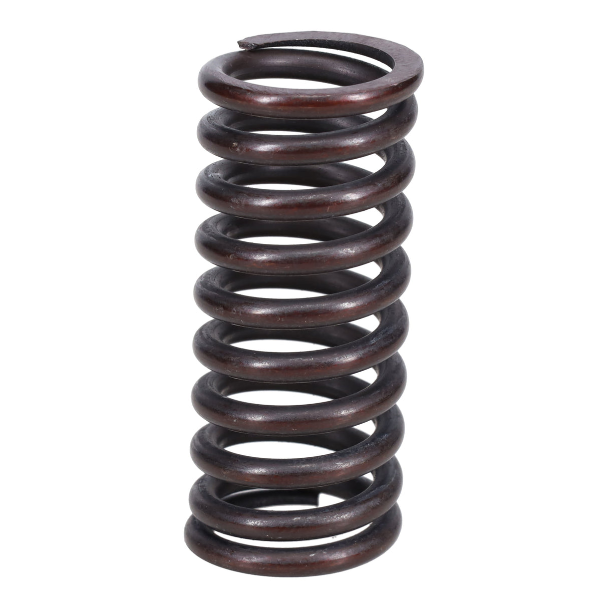 Valve Spring