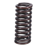 Valve Spring