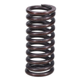 Valve Spring