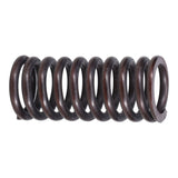 Valve Spring