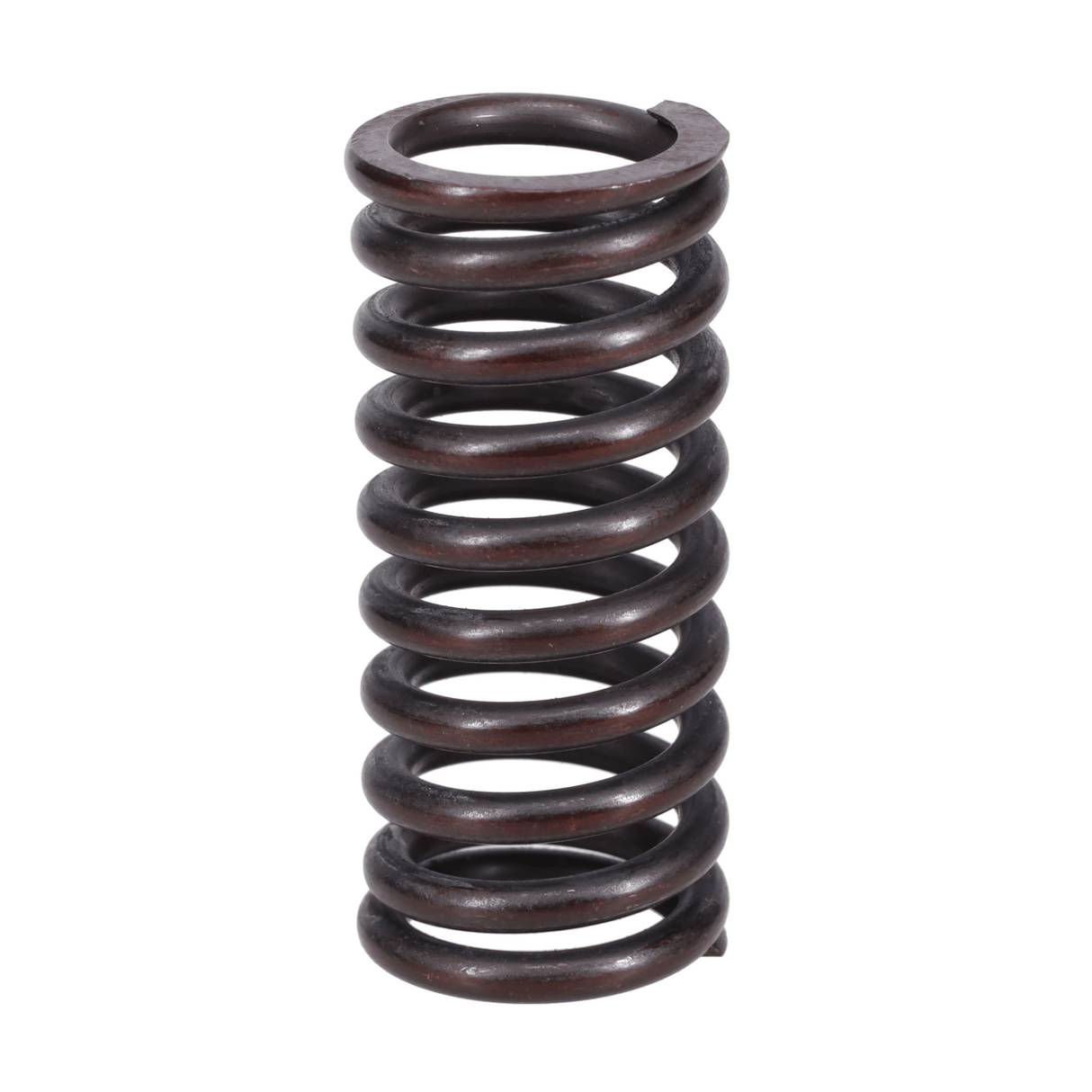 Valve Spring