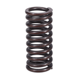 Valve Spring