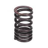 Valve Spring