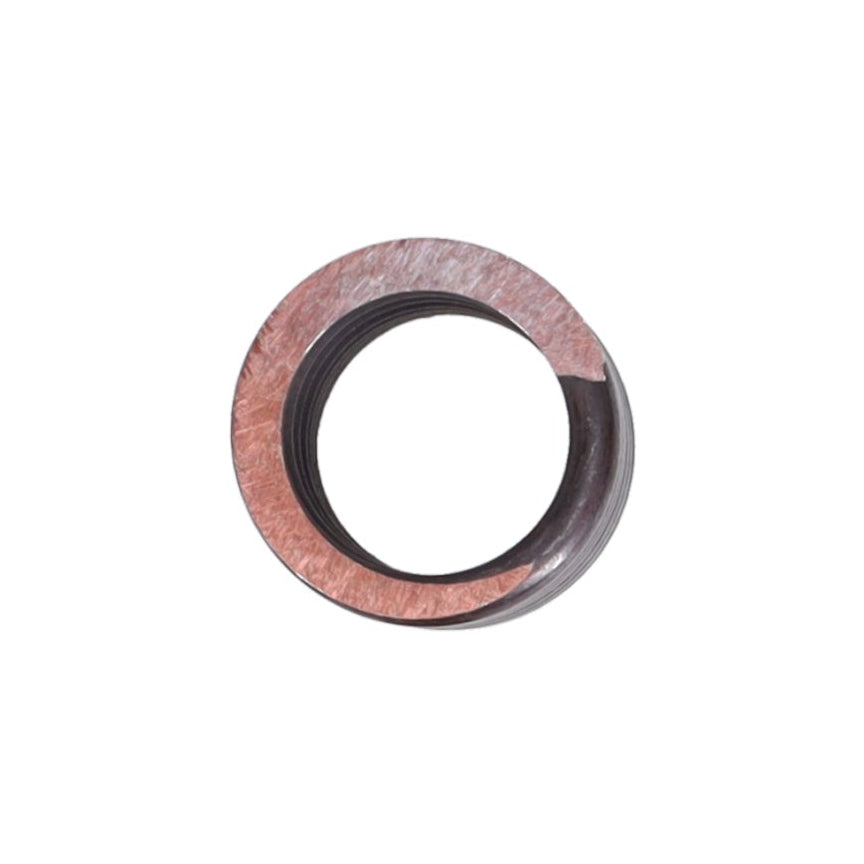 Valve Spring