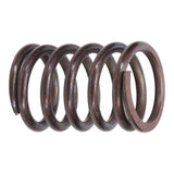 Valve Spring