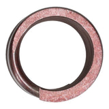 Valve Spring