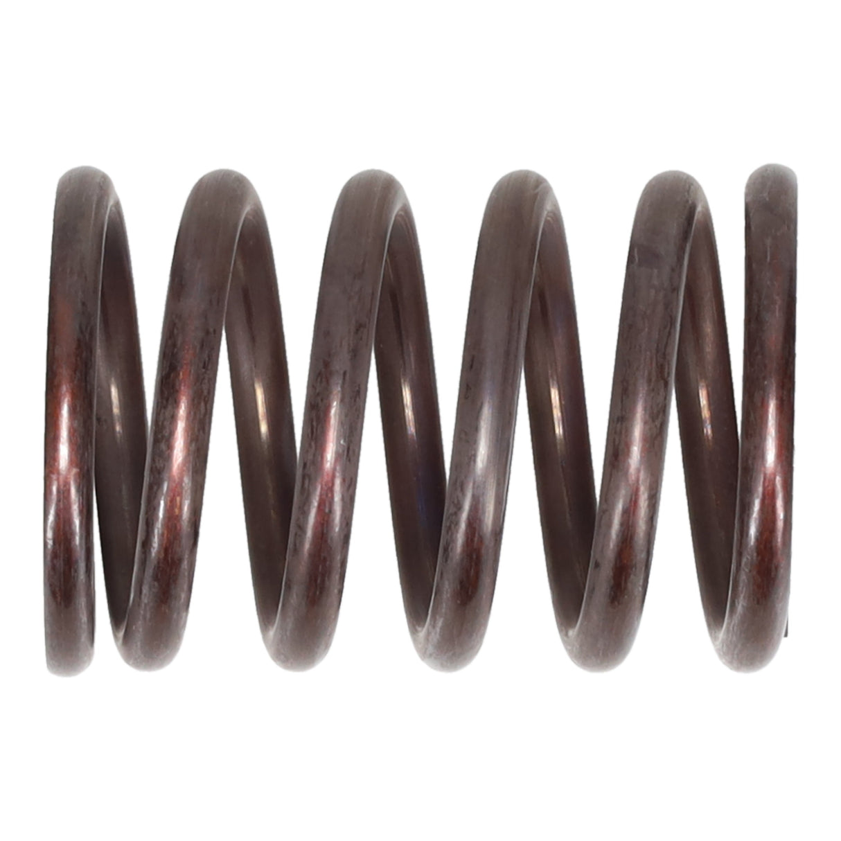 Valve Spring