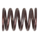 Valve Spring