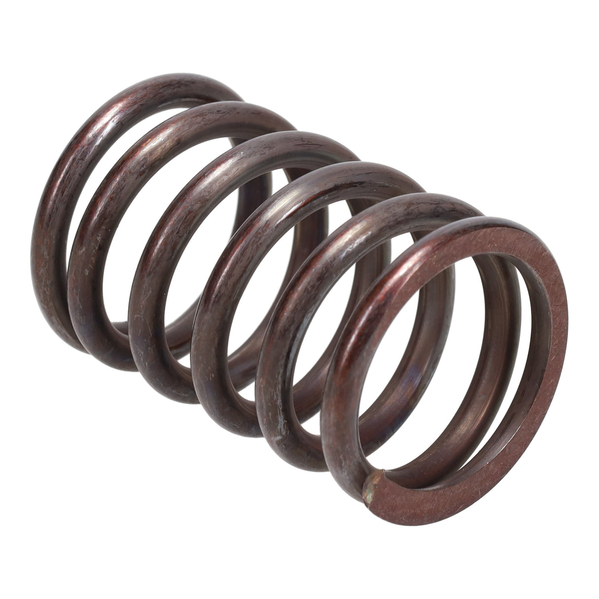 Valve Spring