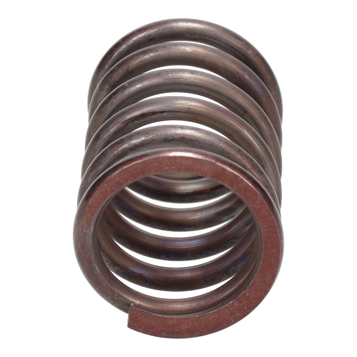 Valve Spring