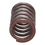 Valve Spring