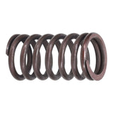 Valve Spring