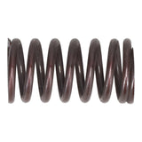 Valve Spring