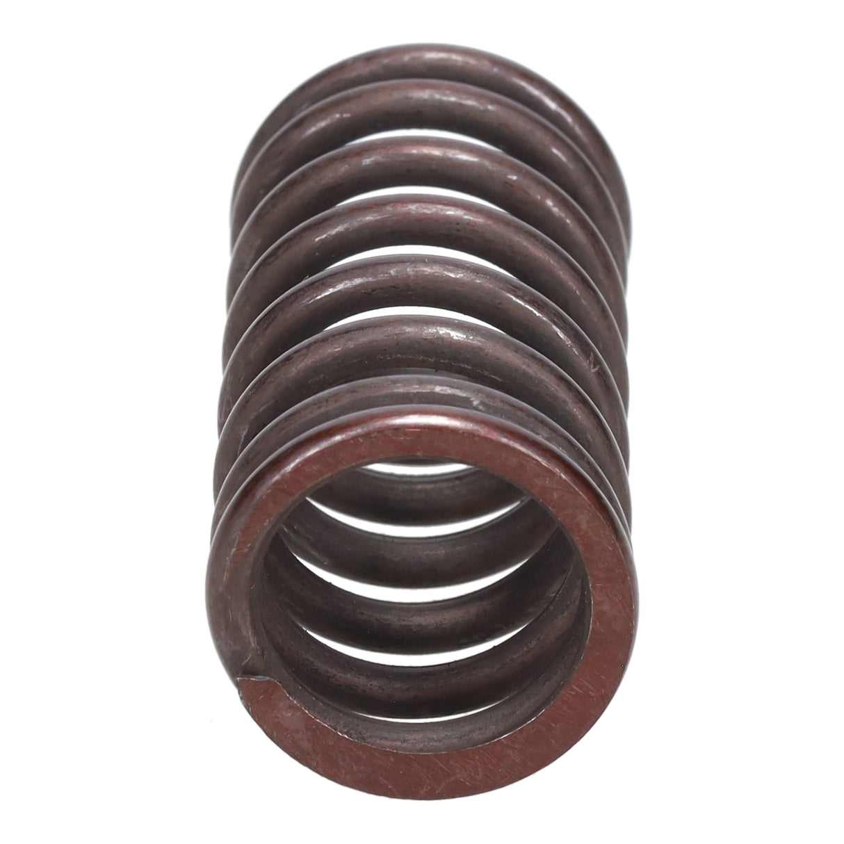 Valve Spring