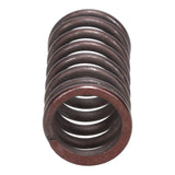 Valve Spring