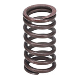 Valve Spring