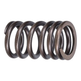 Valve Spring