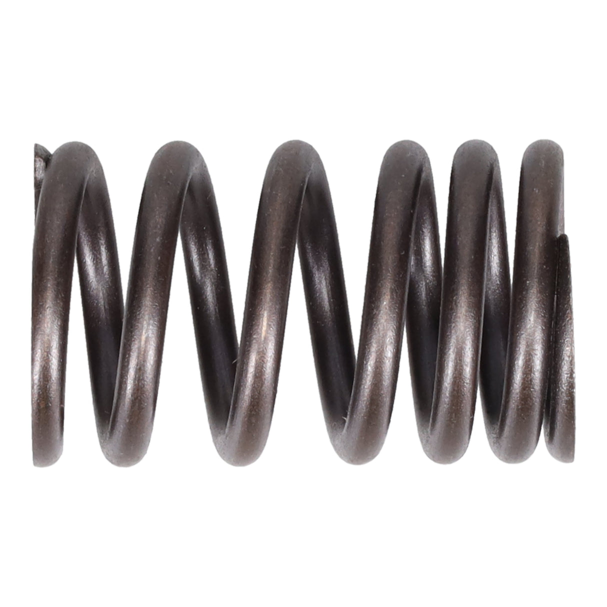 Valve Spring
