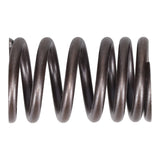 Valve Spring