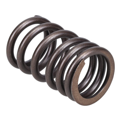 Valve Spring