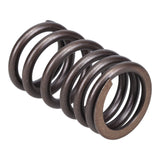 Valve Spring