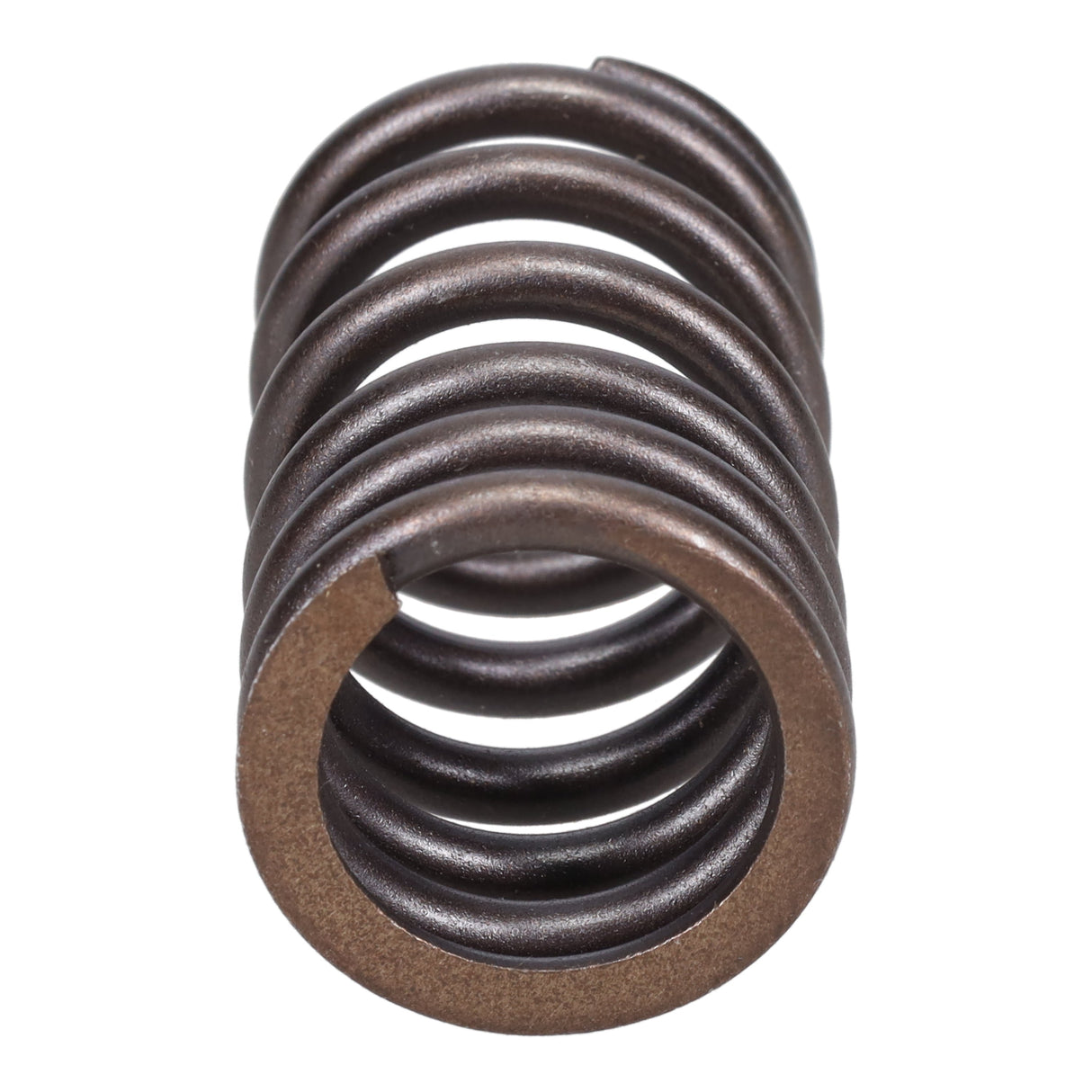 Valve Spring