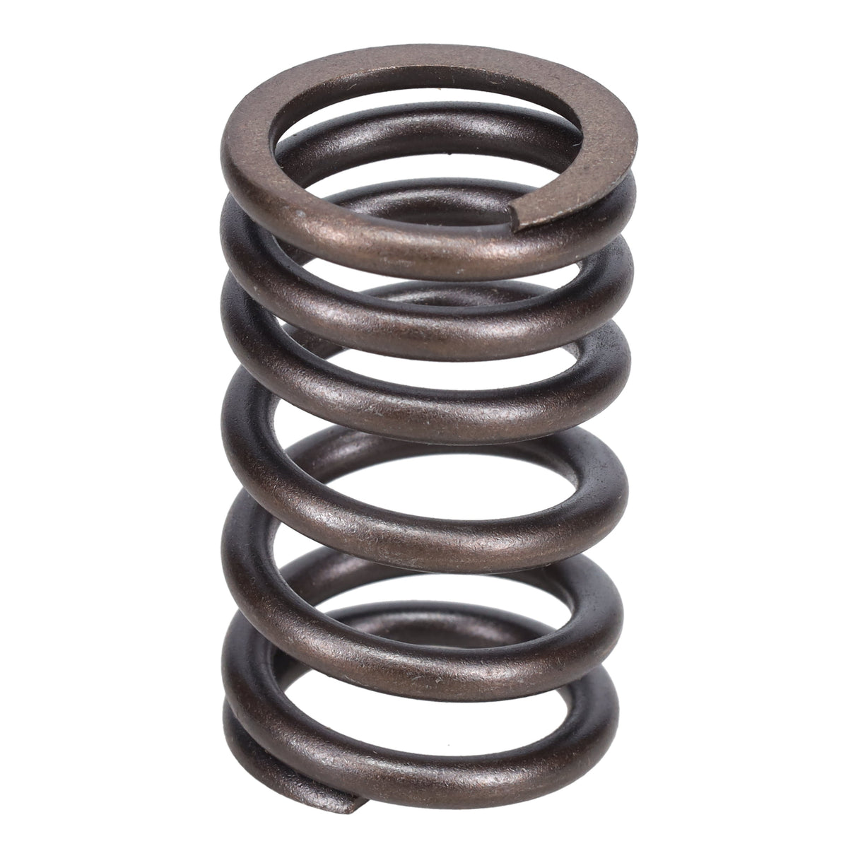 Valve Spring