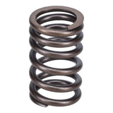Valve Spring
