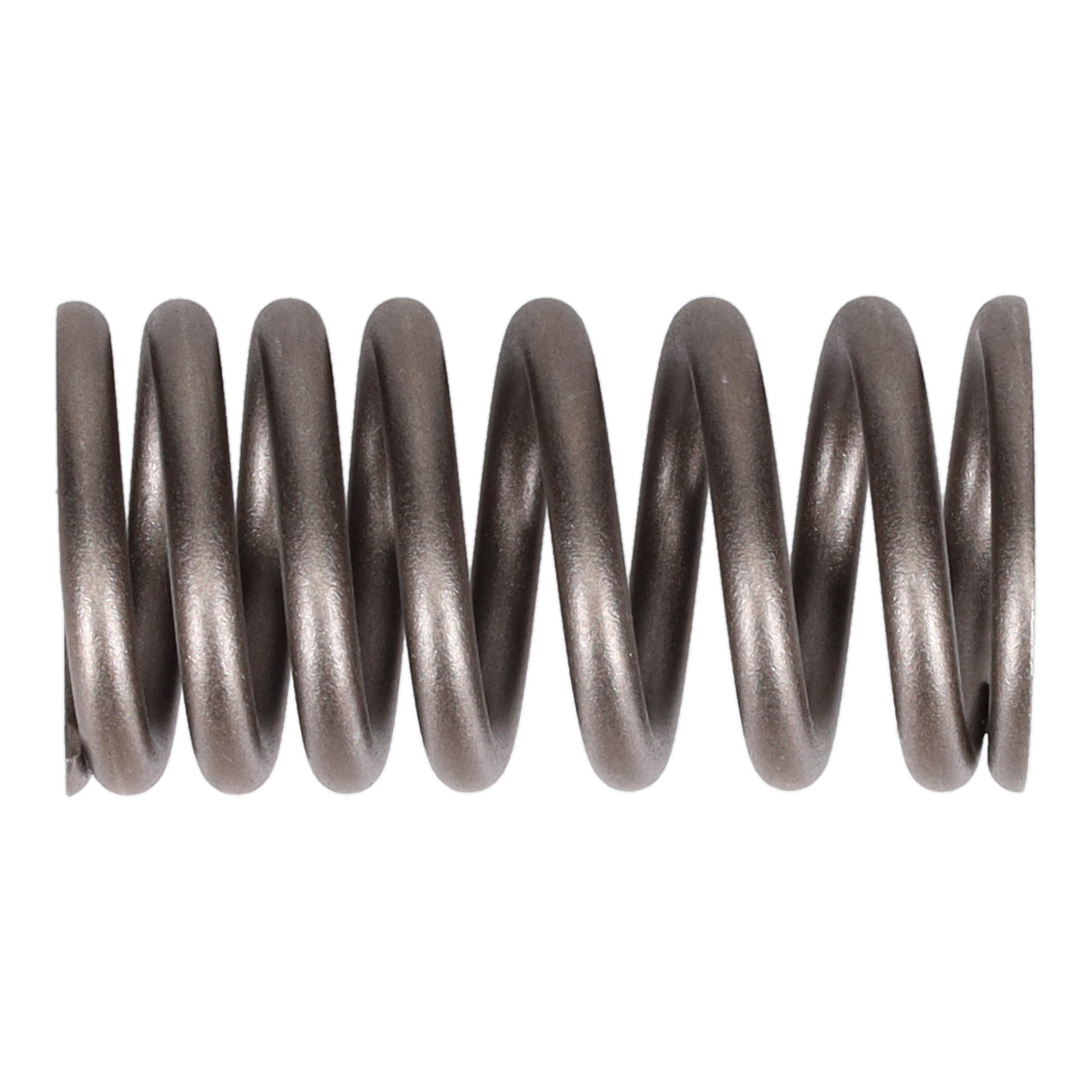 Valve Spring