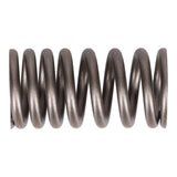 Valve Spring