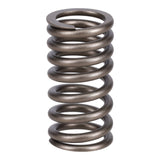 Valve Spring